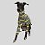 CACHARREL DE GALGO ITALIANO MALHA LINE YELLOW BLACK - Imagem 2