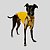 CAMISETA DE GALGO ITALIANO UV ANIMAL - Imagem 6