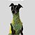 REGATA DE GALGO ITALIANO UV AMARELO AZUL - Imagem 4