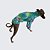 CACHARREL DE GALGO ITALIANO UV ESCAMA - Imagem 4