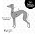 BLUSA DE GALGO ITALIANO CHAMONIX ROSA - Imagem 4