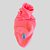 BLUSA DE GALGO ITALIANO CUDDLE LARANJA NEON PE - Imagem 2