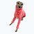 BLUSA DE GALGO ITALIANO CHAMONIX CORAL - Imagem 3