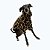 CASACO DE GALGO ITALIANO MONTBLANC ANIMAL - Imagem 4