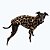 CASACO DE GALGO ITALIANO MONTBLANC ANIMAL - Imagem 1