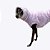 COLETE DE GALGO ITALIANO ANNECY LILAS - Imagem 6