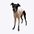 CACHARREL DE GALGO ITALIANO TRICO BRISA SALMON - Imagem 5