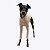 CACHARREL DE GALGO ITALIANO TRICO BRISA SALMON - Imagem 4