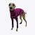 CACHARREL DE GALGO LISTRAS FUCSIA - sob encomenda - Imagem 1