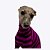 CACHARREL DE GALGO ALGODY COOL FUCSIA - sob encomenda - Imagem 4