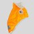 JAQUETA DE GALGO ITALIANO WINTER LARANJA NEON PE - Imagem 1