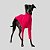 CACHARREL DE GALGO ITALIANO UV POPSTAR CORAL - Imagem 1