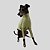 CACHARREL DE GALGO ITALIANO UV POPSTAR OLIVA - Imagem 4
