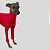 CACHARREL DE GALGO ITALIANO UV POPSTAR RED - Imagem 3