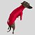 CACHARREL DE GALGO ITALIANO UV POPSTAR RED - Imagem 6