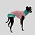 VESTIDO DE GALGO ITALIANO UV SWEET - Imagem 3