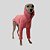 BLUSA DE GALGO ALASKA ROSE - Imagem 4