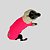 BLUSA DE GALGO ITALIANO ANNECY PINK NEON - Imagem 4