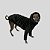 BLUSA DE GALGO ITALIANO CHAMONIX PRETA - Imagem 2