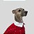 CAMISETA DE GALGO ITALIANO GALGURU RED - Imagem 8