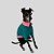 CAMISETA DE GALGO ITALIANO PIC VERDE - Imagem 4