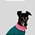 CAMISETA DE GALGO ITALIANO PIC VERDE - Imagem 2