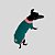 CAMISETA DE GALGO ITALIANO PIC VERDE - Imagem 7