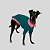 CAMISETA DE GALGO ITALIANO PIC VERDE - Imagem 1