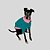 CAMISETA DE GALGO ITALIANO PIC VERDE - Imagem 9