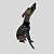 CACHARREL DE GALGO ITALIANO COOL BLACK - Imagem 6