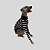 CACHARREL DE GALGO ITALIANO COOL BLACK - Imagem 7