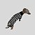 CACHARREL DE GALGO ITALIANO COOL BLACK - Imagem 2