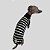 CACHARREL DE GALGO ITALIANO COOL BLACK - Imagem 8
