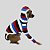 CACHARREL DE GALGO ITALIANO COOL CAP NAVY - Imagem 12