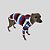 CACHARREL DE GALGO ITALIANO COOL CAP NAVY - Imagem 1