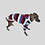 CACHARREL DE GALGO ITALIANO COOL CAP NAVY - Imagem 2