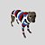 CACHARREL DE GALGO ITALIANO COOL CAP NAVY - Imagem 3