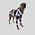 CACHARREL DE GALGO ITALIANO COOL CAP NAVY - Imagem 4