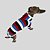 CACHARREL DE GALGO ITALIANO COOL CAP NAVY - Imagem 5
