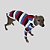 CACHARREL DE GALGO ITALIANO COOL CAP NAVY - Imagem 13