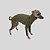 CACHARREL DE GALGO ITALIANO MESH VERDE MUSGO - Imagem 3