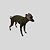 CACHARREL DE GALGO ITALIANO MESH VERDE MUSGO - Imagem 4