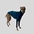 CACHARREL DE GALGO ITALIANO PIQ POCKET VERDE - Imagem 2