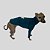 CACHARREL DE GALGO ITALIANO PIQ POCKET VERDE - Imagem 4