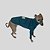 CACHARREL DE GALGO ITALIANO PIQ POCKET VERDE - Imagem 11