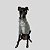 PIJAMA DE GALGO ITALIANO COQUEIRO - Imagem 3