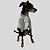 PIJAMA DE GALGO ITALIANO COQUEIRO - Imagem 6