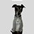 PIJAMA DE GALGO ITALIANO COQUEIRO - Imagem 8