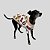 PIJAMA DE GALGO ITALIANO MUSIC - Imagem 1