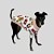 PIJAMA DE GALGO ITALIANO MUSIC - Imagem 6